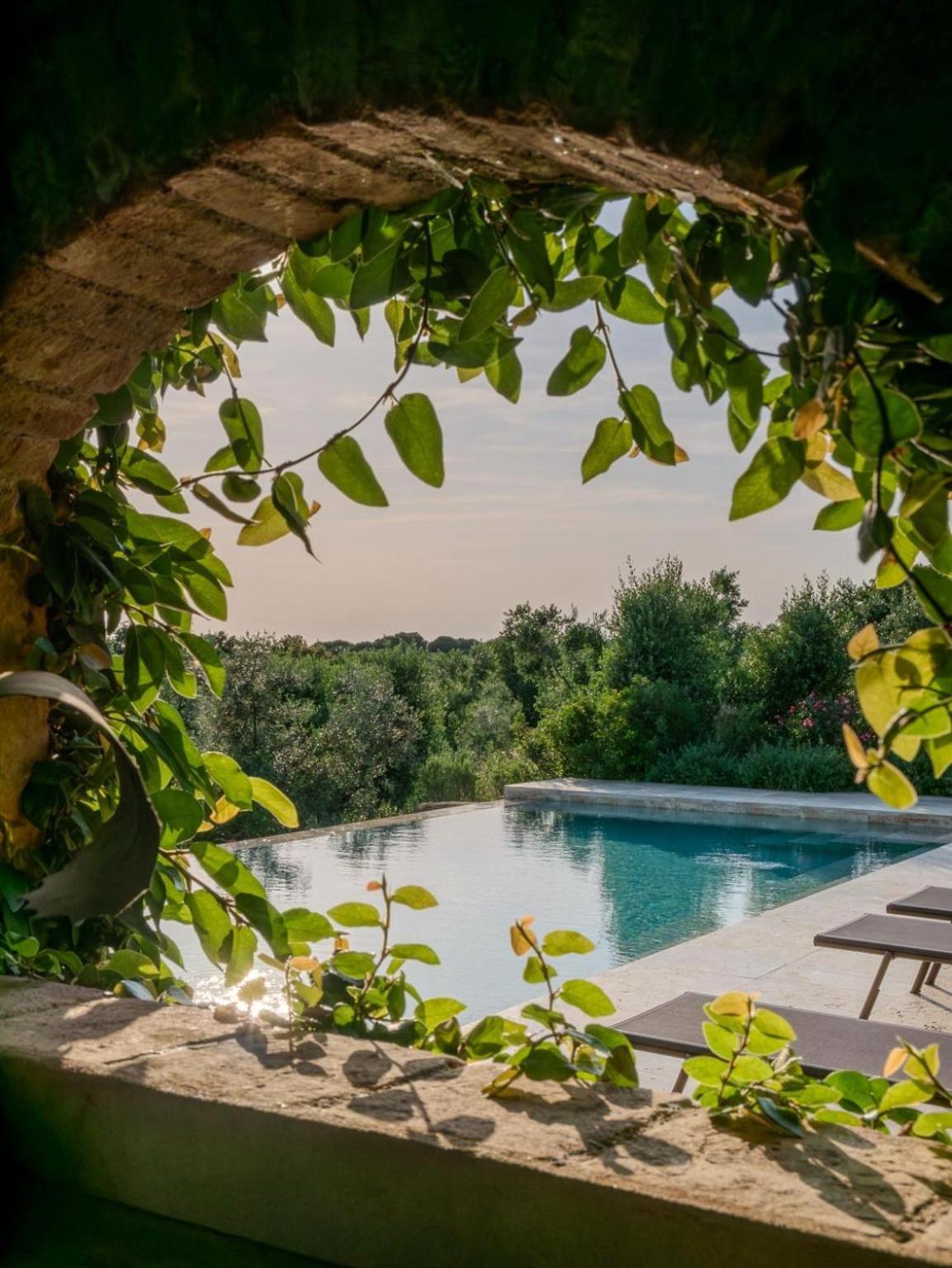 Podere Le Mezzelune Bibbona Exteriör bild